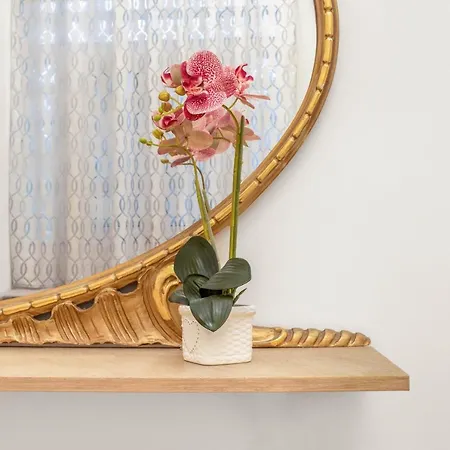 Apartman Extravacanza Oasi Del Vintage *